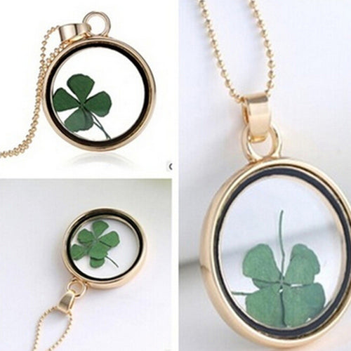 Dried Flower Clover Floating Locket Memory Living Pendant Necklace Gold Plated Jewelry Real Plant Flower 60CM Chain Necklace J4U66