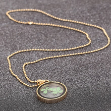 Dried Flower Clover Floating Locket Memory Living Pendant Necklace Gold Plated Jewelry Real Plant Flower 60CM Chain Necklace J4U66
