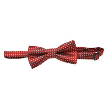 kids collar bow tie polka dot noble tie boy bowtie in Children's accessories J4U66