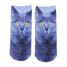 3D Printed Low Cut Ped Socks Cute Kawaii Cartoon Cat Animal Funny Short Socks For Women Girls 9 Colors J4U66