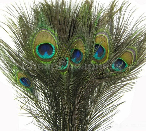 50pcs Real Natural Peacock Eye Tail Feathers Beautiful Natural Feathers Wedding Party Home Hairs DIY Decoration J4U66