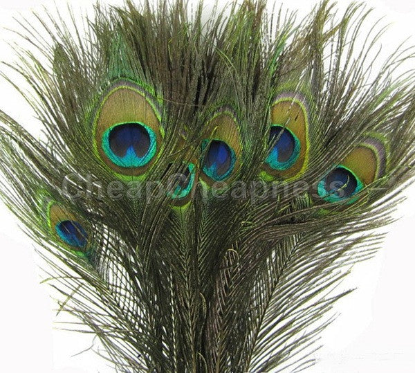 50pcs Real Natural Peacock Eye Tail Feathers Beautiful Natural Feathers Wedding Party Home Hairs DIY Decoration J4U66