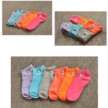 Socks Panda Pattern Cute Cartoon Candy Color Socks With Y3 J4U66