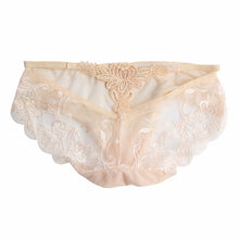 Sexy Lace Embroidery Knickers Panties See Throungh Underwear BriefsJFY66