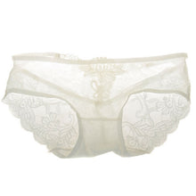 Sexy Lace Embroidery Knickers Panties See Throungh Underwear BriefsJFY66