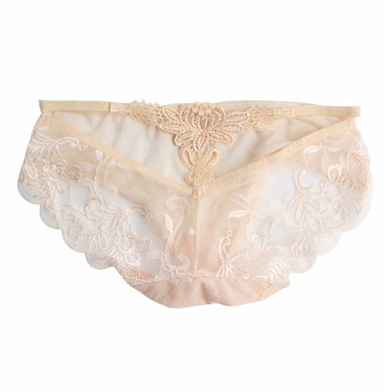 Sexy Lace Embroidery Knickers Panties See Throungh Underwear BriefsJFY66