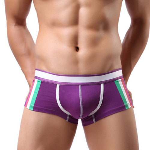 Amazmen's Sexy Underwear Men Boxer Shorts Underpants M L XL J4U66