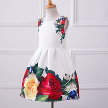 Baby Girls Dresses Kids Clothes Brand Children Dress for Girls Clothes Rose Flower Dobby Princess Dress Christmas 3-8Y PY2 J4U66