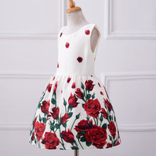 baby girls dresses kids clothes children dress for girls clothes rose flower dobby princess dress christmas J4U66