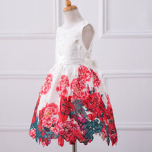 baby girls dresses kids clothes children dress for girls clothes rose flower dobby princess dress christmas J4U66