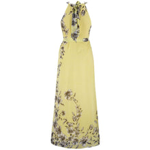 big size flora printing maxi dresses long chiffon sundresses women style girl boheminan dress J4U66