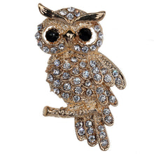 For Weddings S  Brooches Gold Plated Owl Style Shiny Crystal Inlay Lady Jewelry Rhinestone Brooches J4U66