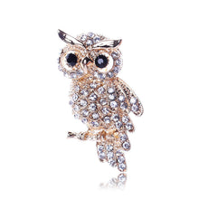 For Weddings S  Brooches Gold Plated Owl Style Shiny Crystal Inlay Lady Jewelry Rhinestone Brooches J4U66