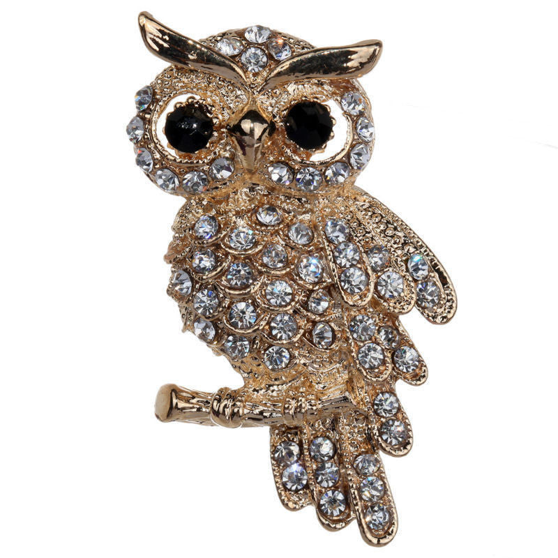 For Weddings S  Brooches Gold Plated Owl Style Shiny Crystal Inlay Lady Jewelry Rhinestone Brooches J4U66