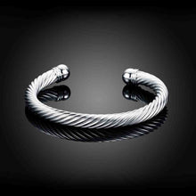silver plated friendship bangle twisted rope women pulseras horloge smtb030 J4U66