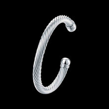 silver plated friendship bangle twisted rope women pulseras horloge smtb030 J4U66