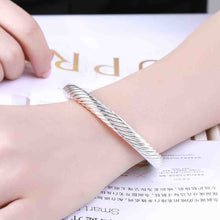 silver plated friendship bangle twisted rope women pulseras horloge smtb030 J4U66