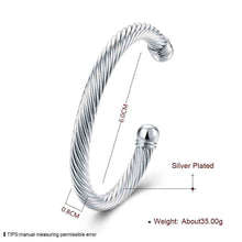 silver plated friendship bangle twisted rope women pulseras horloge smtb030 J4U66
