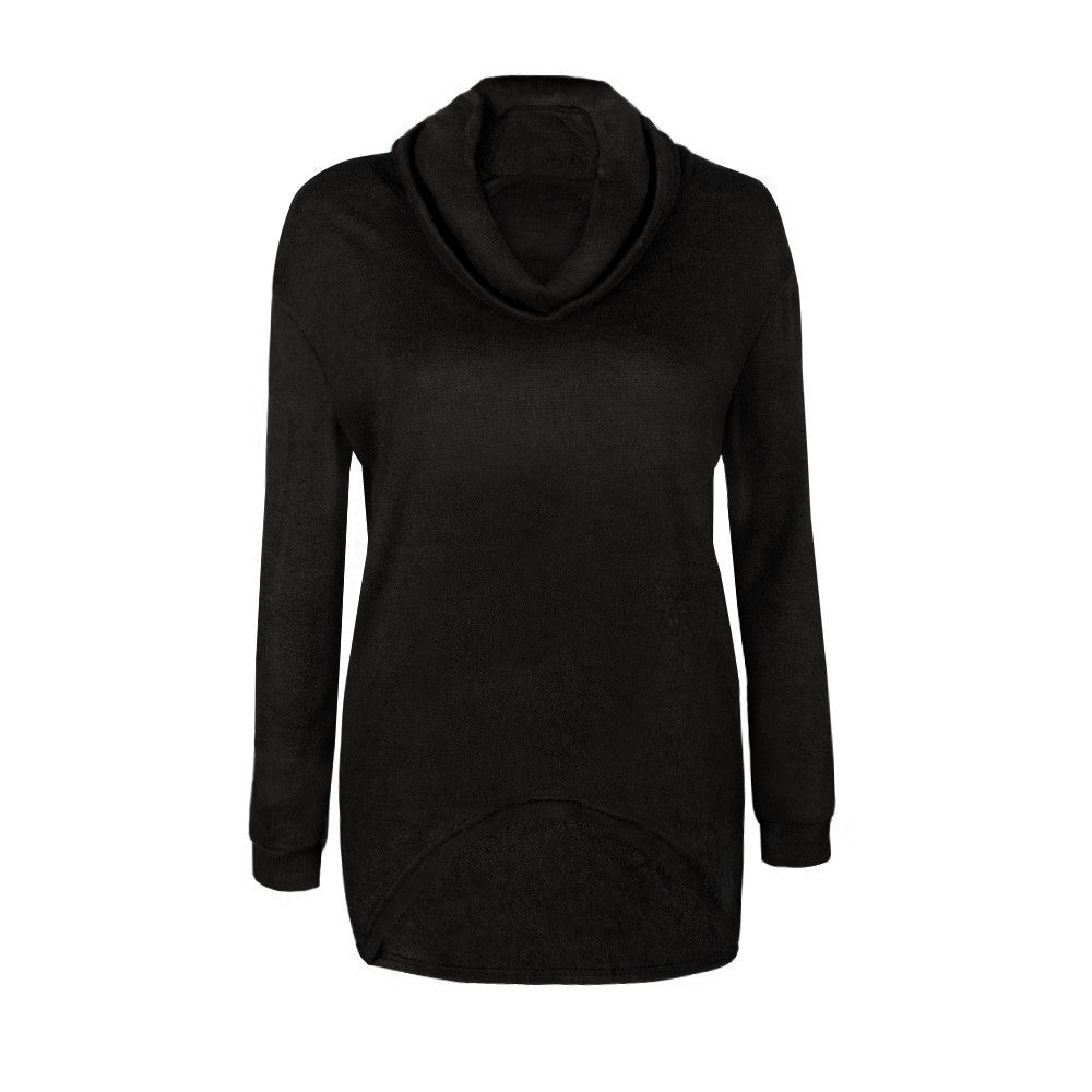 Women Sweaters and Pullovers Fashion turtleneck Sweater Women twisted thickening slim pullover sweater J4U66