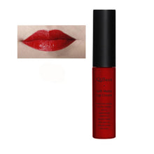 Brand Makeup Waterproof Matte liquid lipstick Long Lasting lip gloss Lipstick sexy lipstick  J4U66