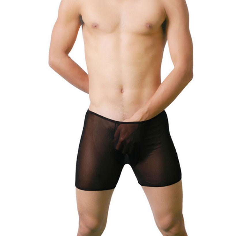 Men's Sexy Underwear Ultra thin Transparent Temptation Boxer Shorts Fa –  Just4U66