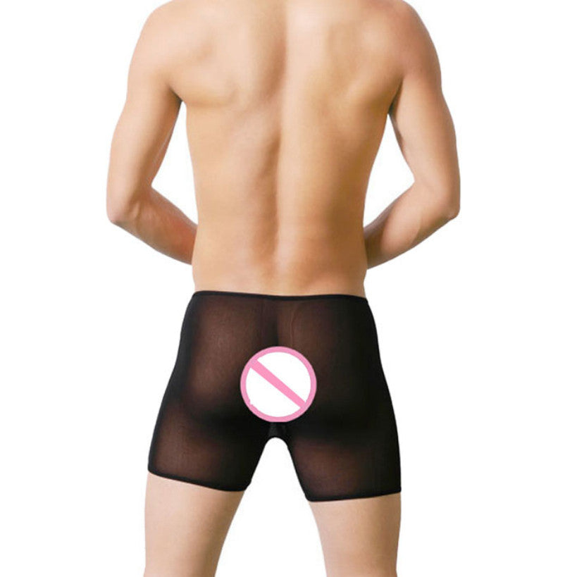 Men's Sexy Underwear Ultra thin Transparent Temptation Boxer Shorts Fa –  Just4U66