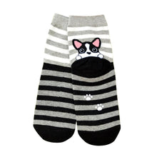 3D Animals Cartoon Socks Women Puppy Footprints Floor Cotton sock Women's Casual Charactor Socks J4U66