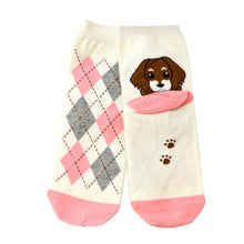 3D Animals Cartoon Socks Women Puppy Footprints Floor Cotton sock Women's Casual Charactor Socks J4U66