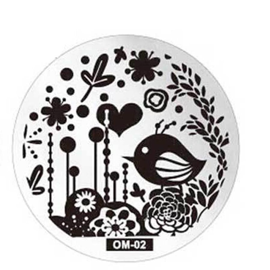 Durable Pattern DIY Nail Art Image Stamp Stamping Plates Manicure Template OM2 J4U66