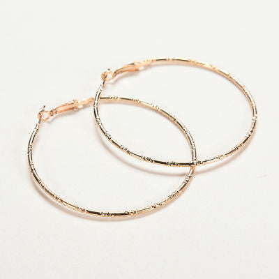 Women Large Simple Circle Hoop Earrings Personality Big Circle Earrings Silver Gold Color Gifts For Lady  J4U66