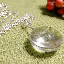 Real Dandelion Seeds Wish bottle Necklace Bottle Botanical Pendant Chain Necklace Gifts For Women s  J4U66