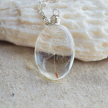 Real Dandelion Seeds Wish bottle Necklace Bottle Botanical Pendant Chain Necklace Gifts For Women s  J4U66