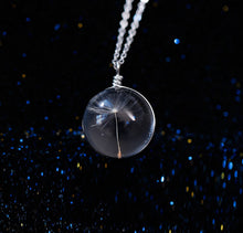 Real Dandelion Seeds Wish bottle Necklace Bottle Botanical Pendant Chain Necklace Gifts For Women s  J4U66