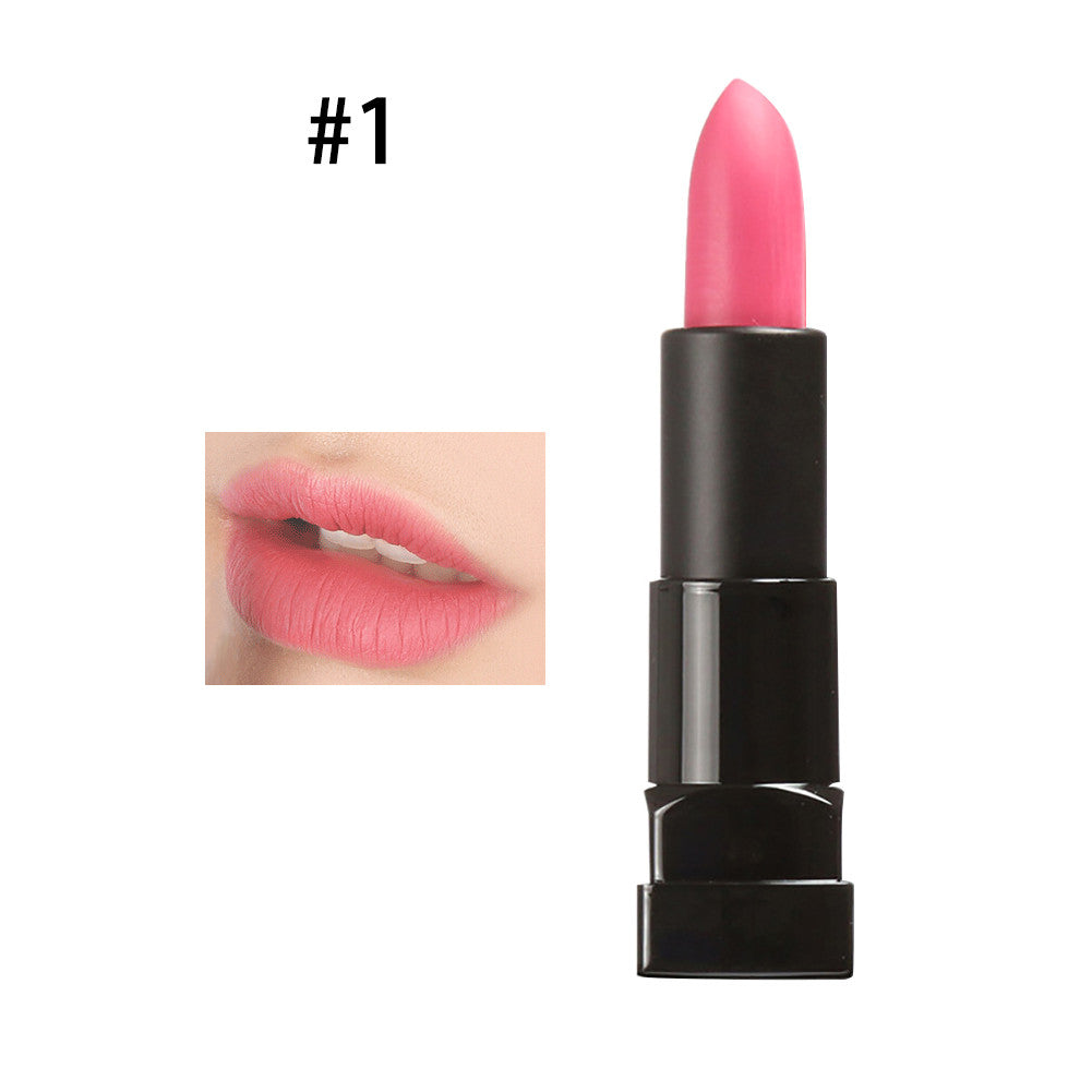 Red Candy Waterproof Matte Lipstick Cosmetic Lip Care Lips Matte Lip Gloss PE3 J4U66