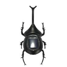 solar beetle cute interesting kids toys solar powered energy beetle original educational solar toys forchildren J4U66
