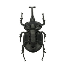 solar beetle cute interesting kids toys solar powered energy beetle original educational solar toys forchildren J4U66