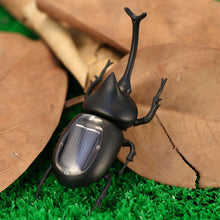 solar beetle cute interesting kids toys solar powered energy beetle original educational solar toys forchildren J4U66