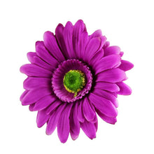 Vintage Daisy Hair Clips Wedding Boho Festival Accessories Bridesmaids Hairpin Barrette Women Y2 J4U66