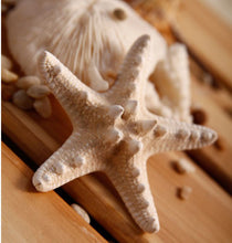 Europe Fashion Women Lady Girls Pretty Natural Starfish Star Beige Hair Clipping J4U66